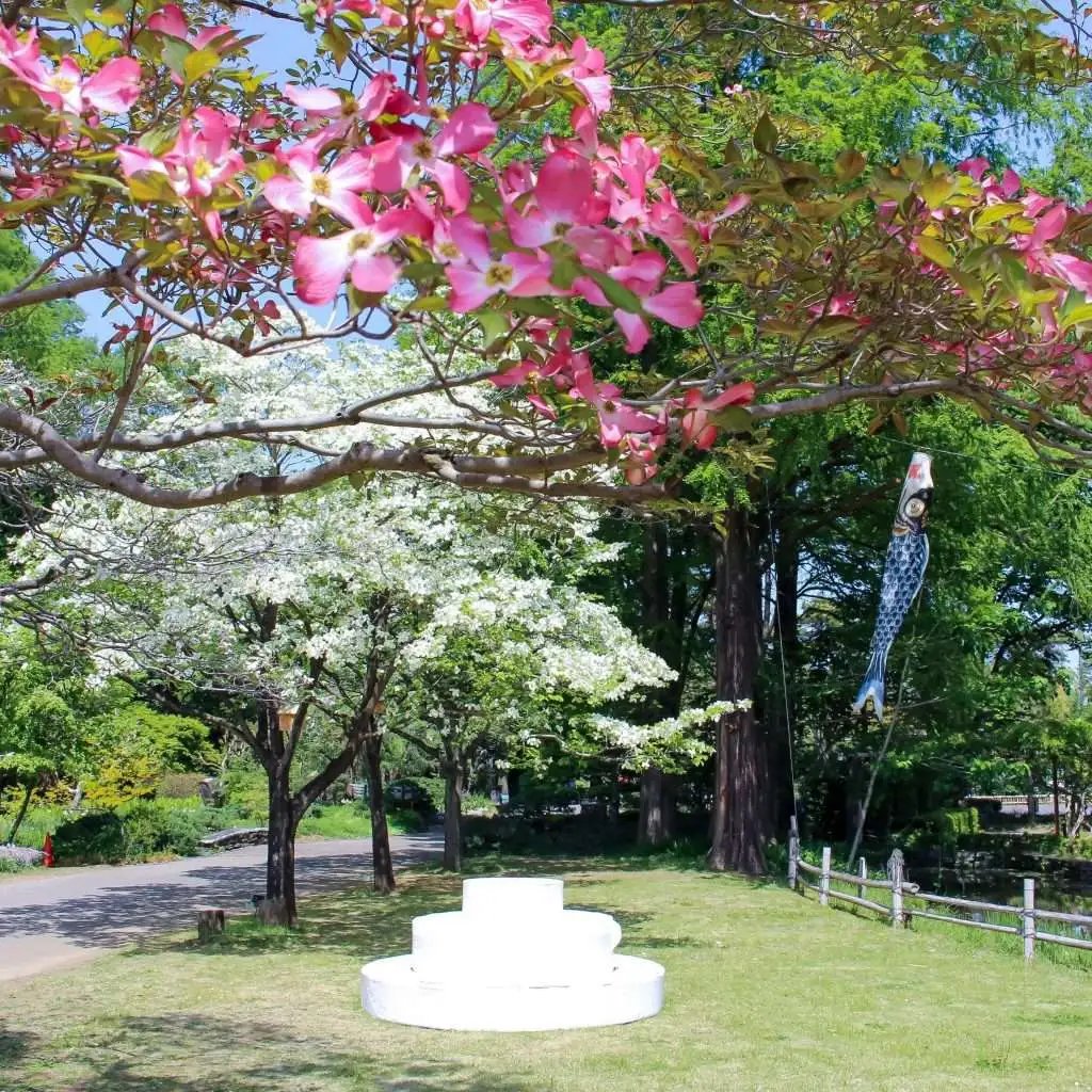 🌳 후카야 녹색 왕국(후카야 미도리노 오코쿠) 이미지 8